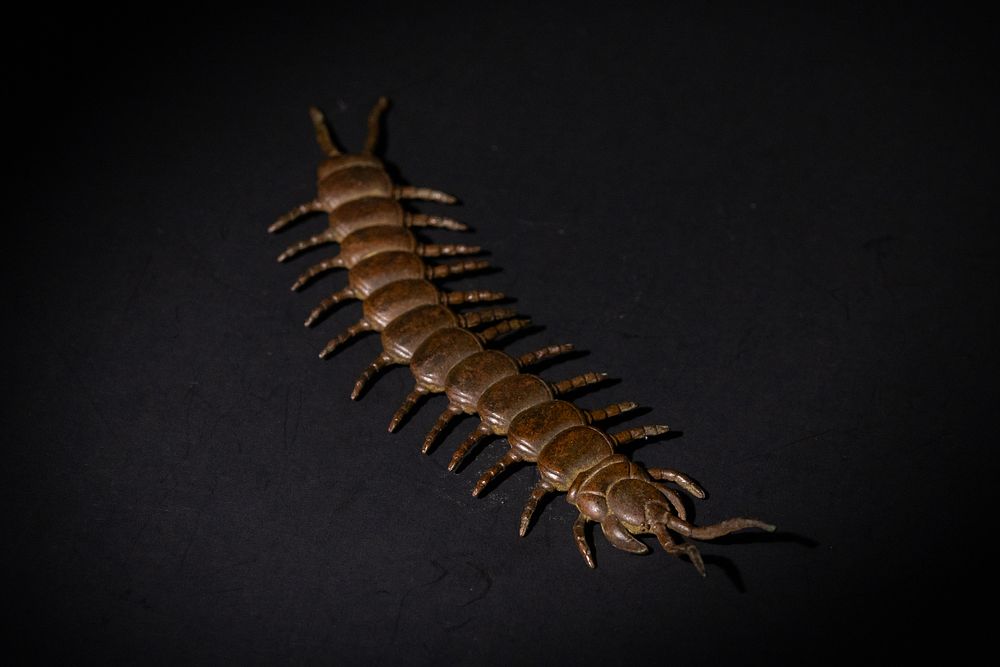 Lot 190: A Japanese Bronze Articulated Centipede Figurine.