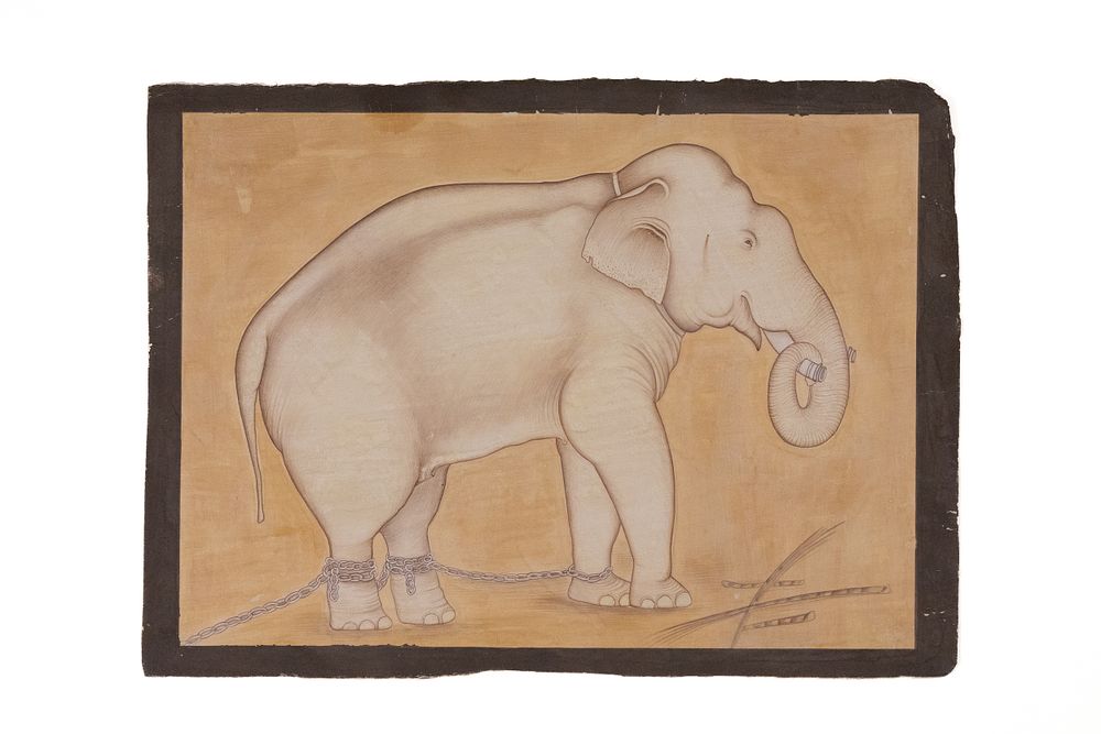 Lot 201: An Indian Painting of a Captive Elephant, 19th...