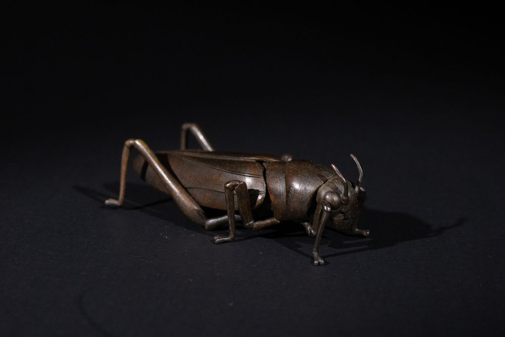 Lot 369: A Japanese Bronze Grasshopper Okimono.