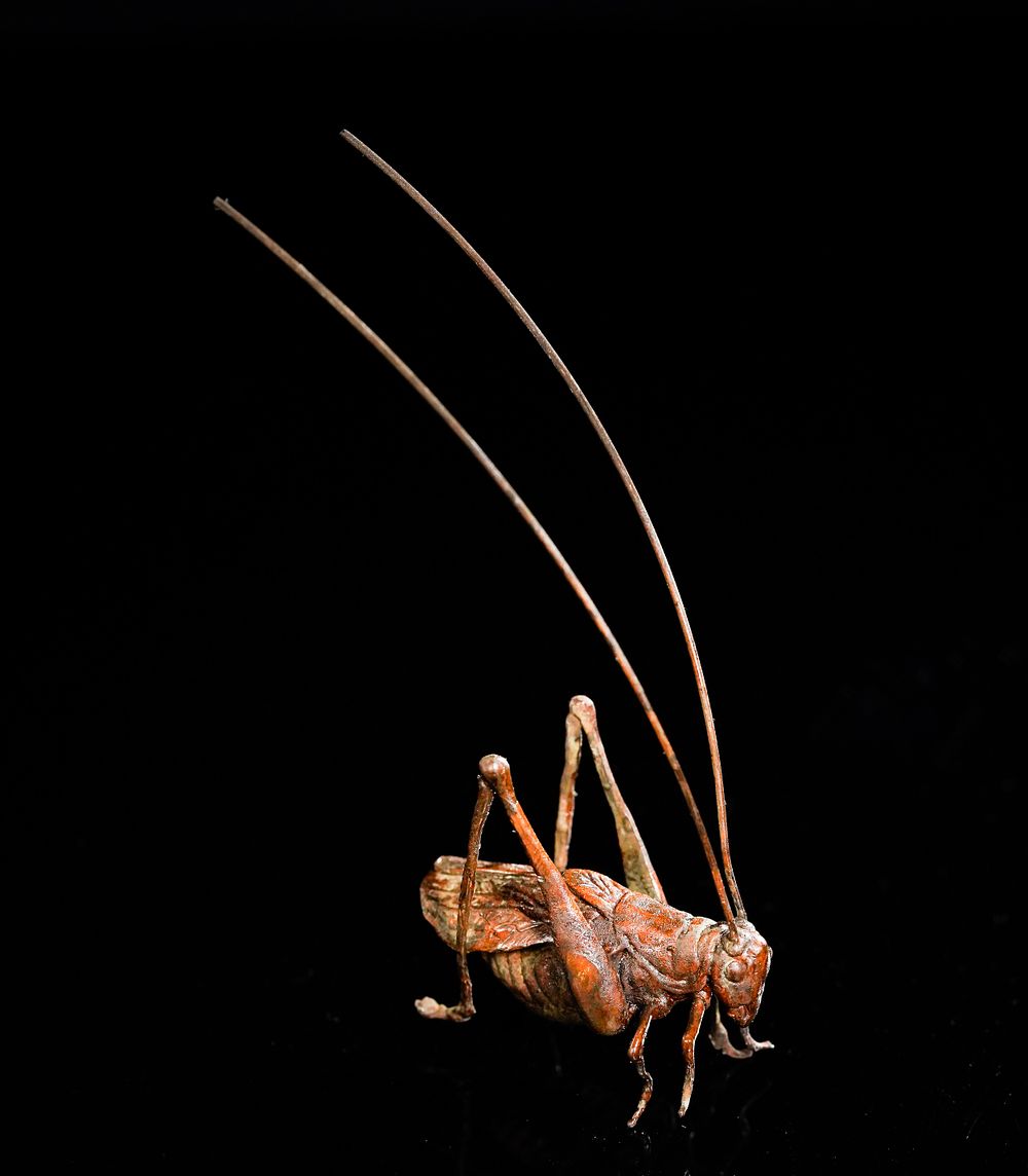 Lot 379: A Japanese Bronze Figure of a Cricket with...