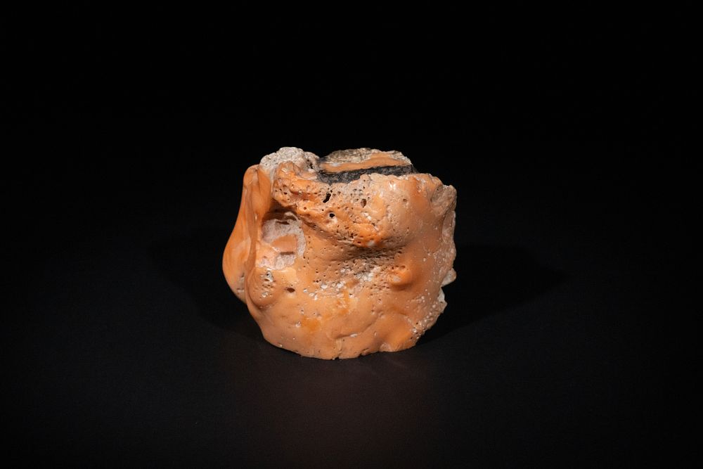 Lot 387: A Natural Fragment of Coral Stone.