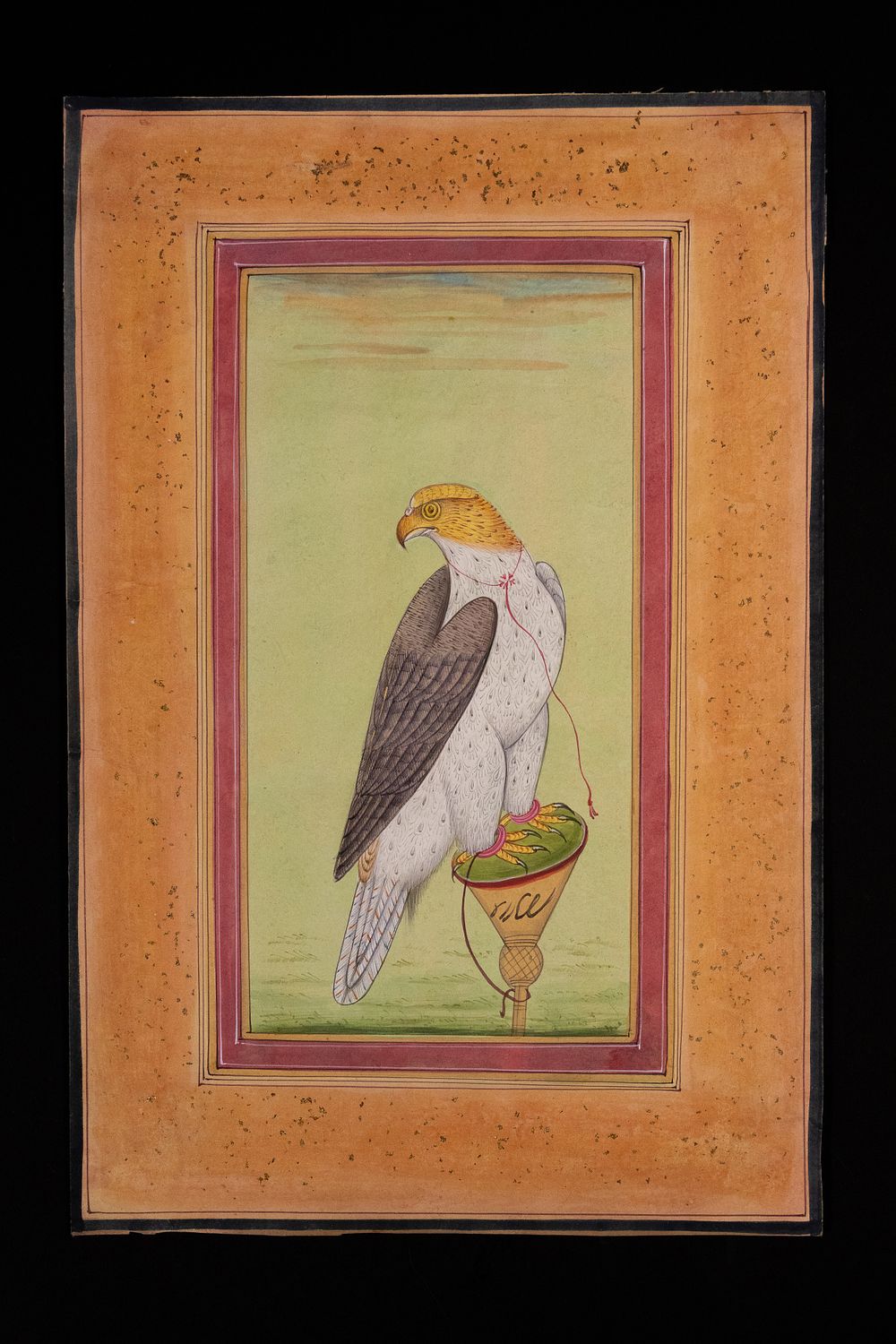 Lot 186: A Mughal Painting of a Falcon on a...