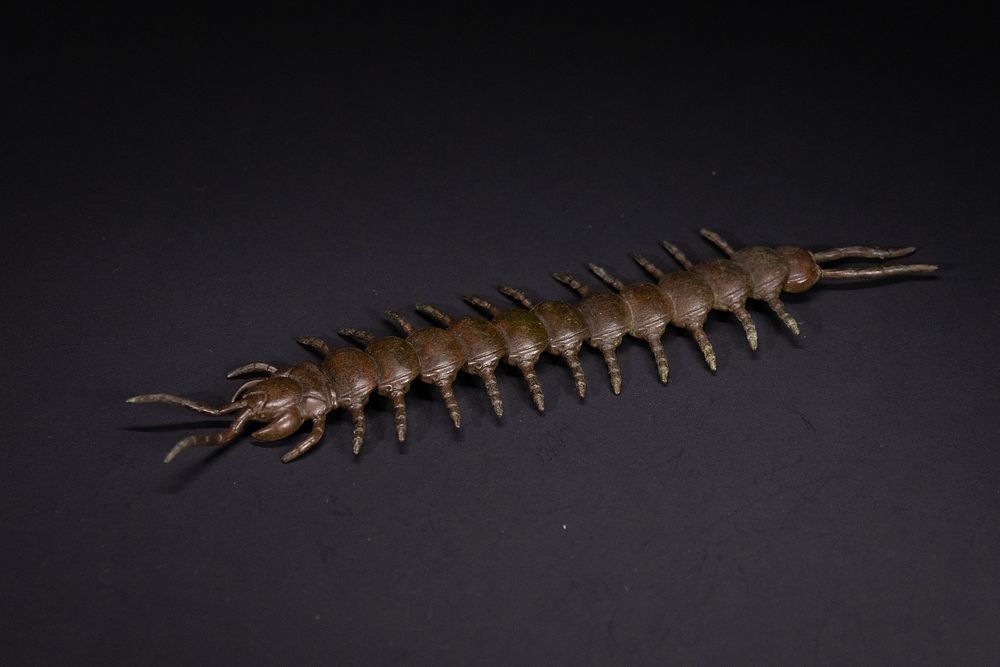 Lot 369: A Japanese Bronze Model of a Centipede.