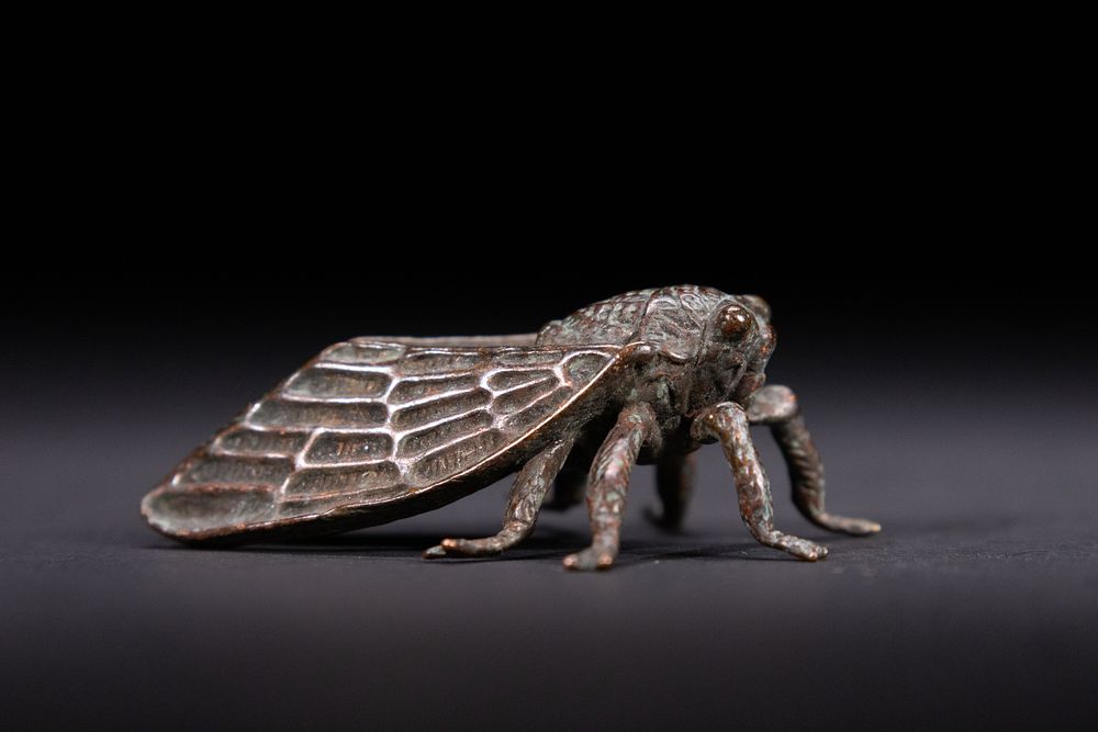 Lot 372: A Japanese Bronze Model of a Cicada.