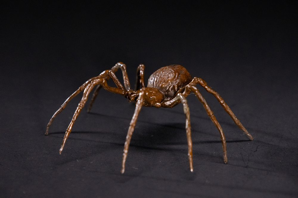 Lot 381: A Japanese Bronze Figure of a Spider.