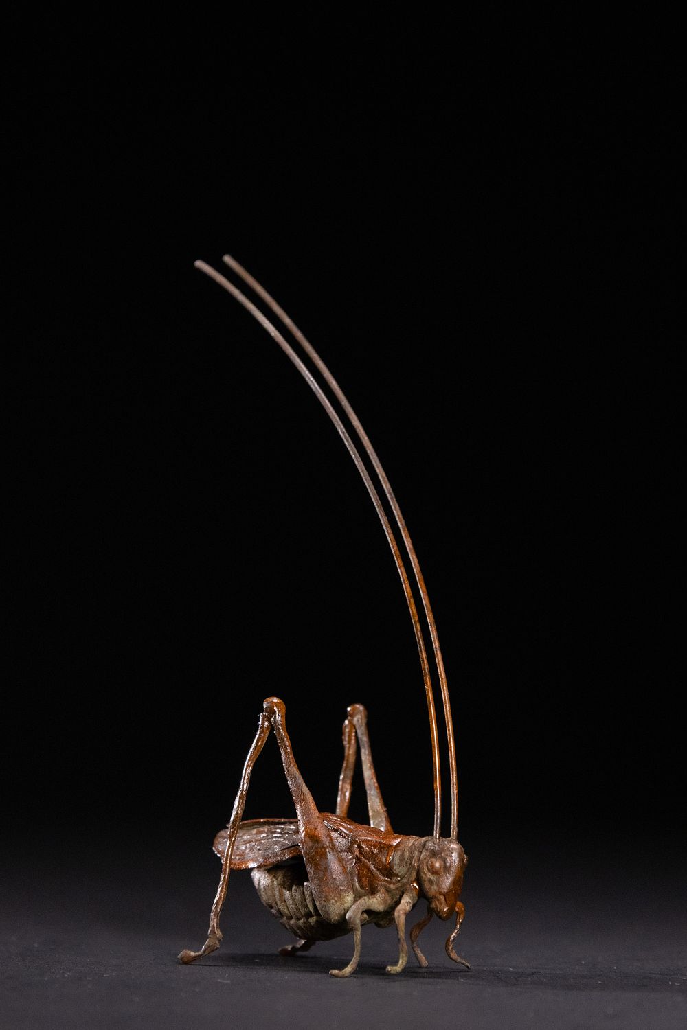 Lot 359: A Japanese Bronze Figure of a Cricket.