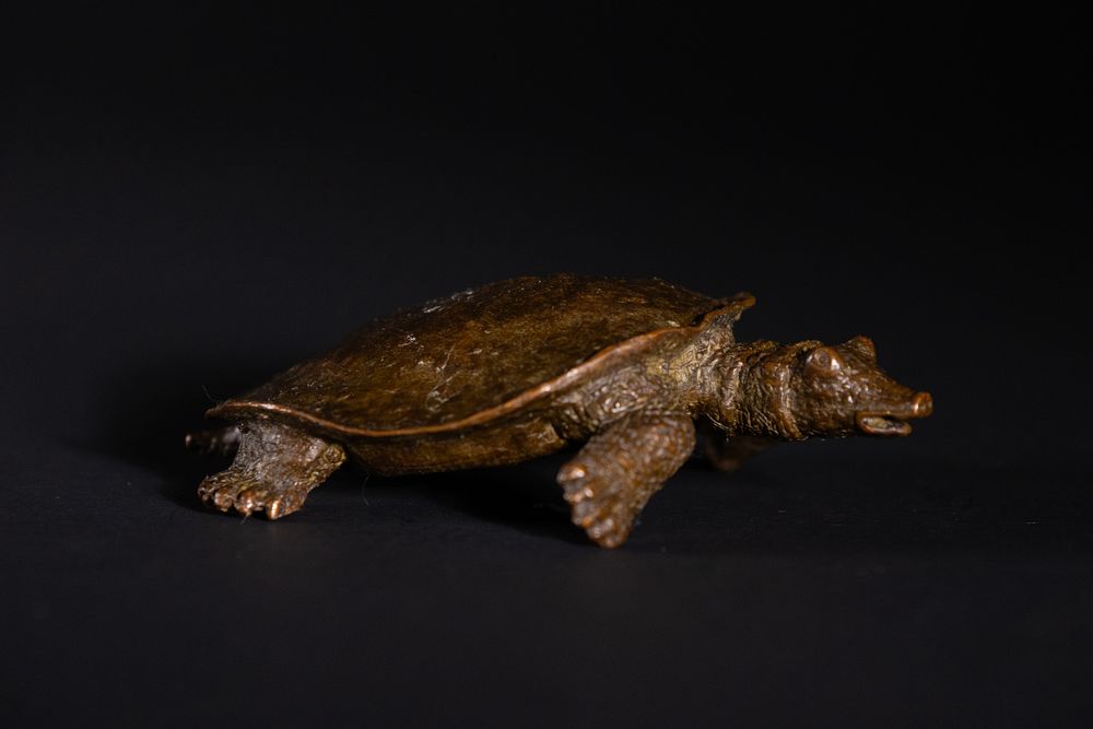 Lot 378: A Japanese Bronze Model of a Softshell Turtle.