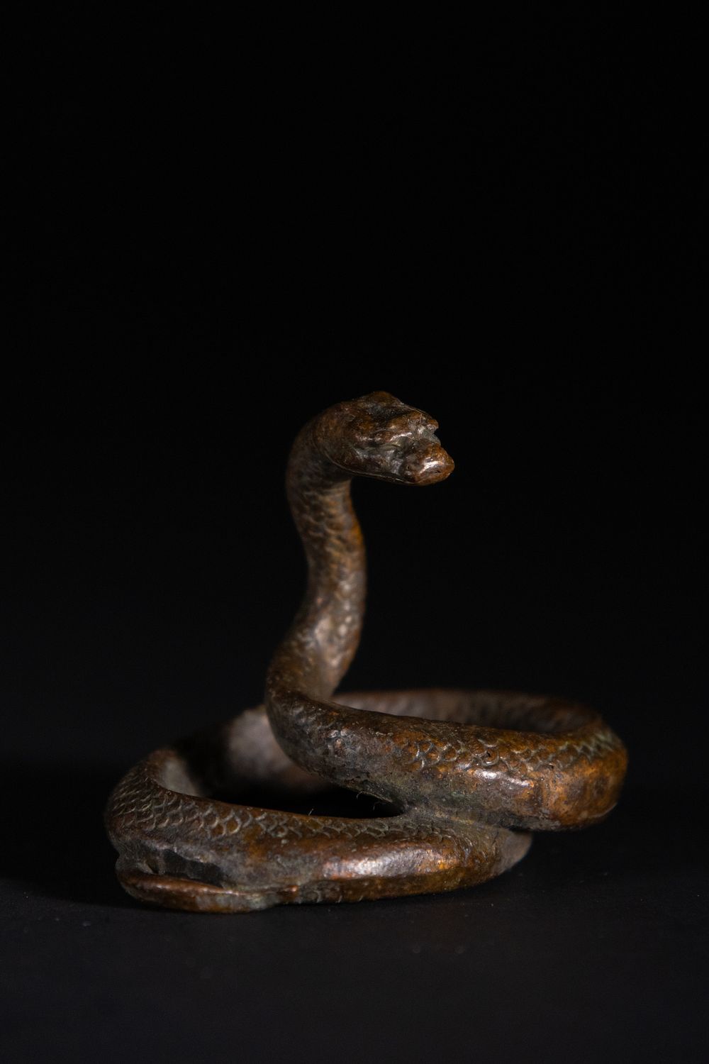 Lot 380: A Japanese Bronze Model of a Coiled Snake.