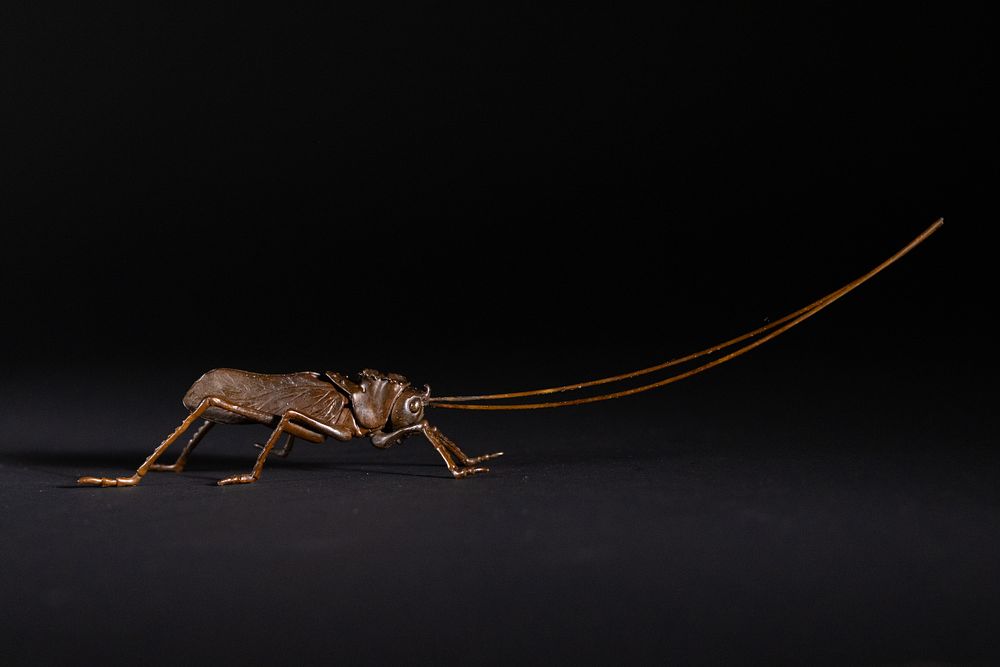 Lot 381: A Japanese Bronze Model of a Cricket.