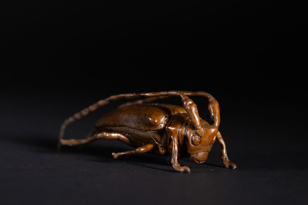 Lot 382: A Japanese Bronze Model of a Beetle.