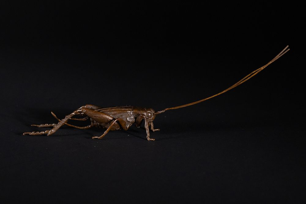 Lot 383: A Japanese Bronze Model of a Cricket.
