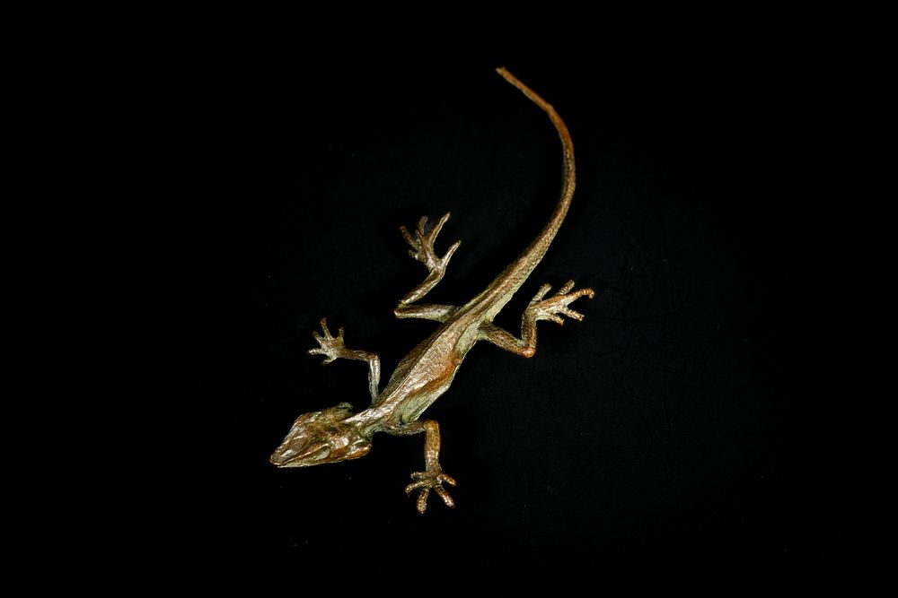 Lot 460: A Japanese Bronze Lizard Figure.