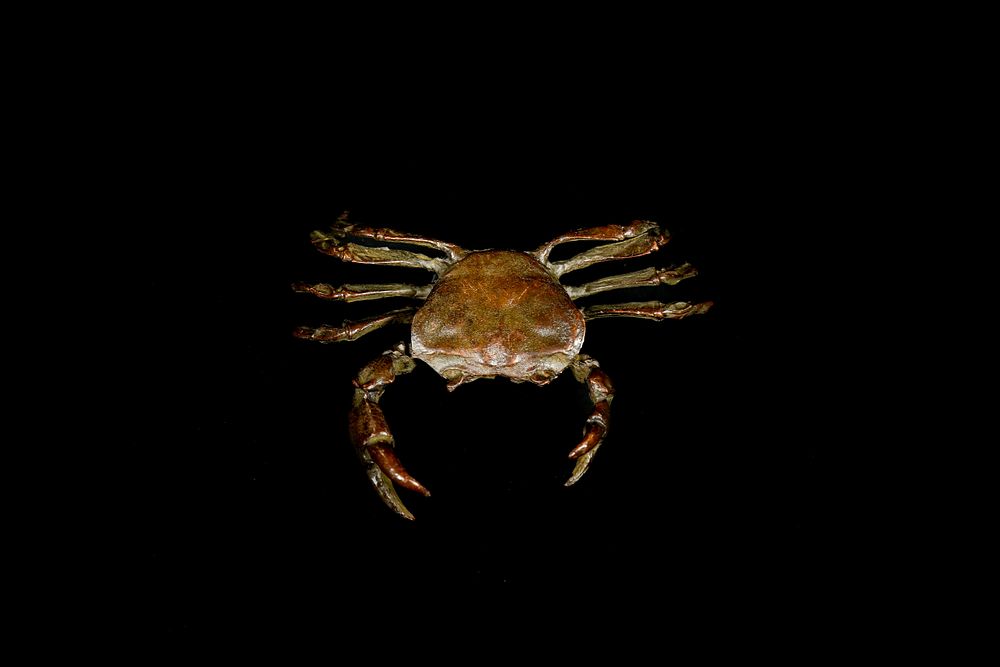 Lot 461: A Japanese Bronze Crab Sculpture with Underside Mark.