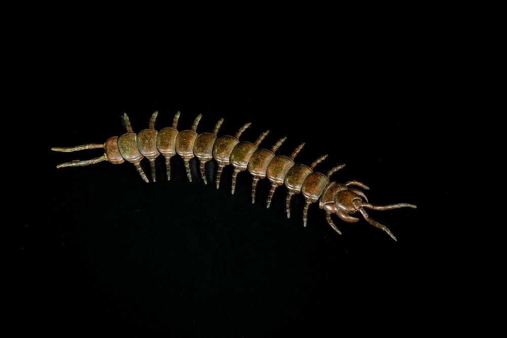 Lot 462: A Japanese Bronze Centipede Figure.