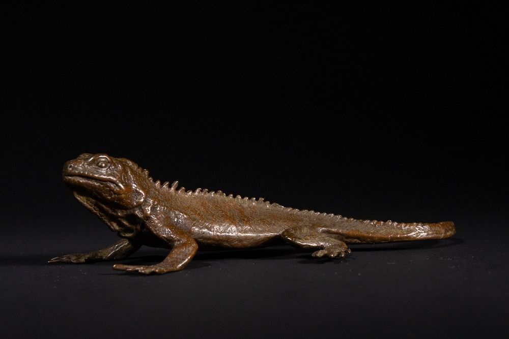 Lot 464: A Japanese Bronze Lizard Figure - A naturalistic...