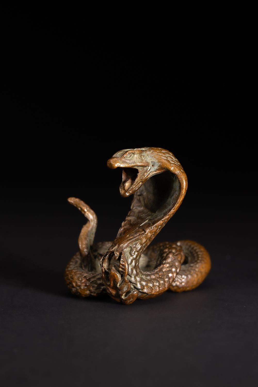 Lot 475: A Japanese Bronze Figure of a Coiled Cobra.