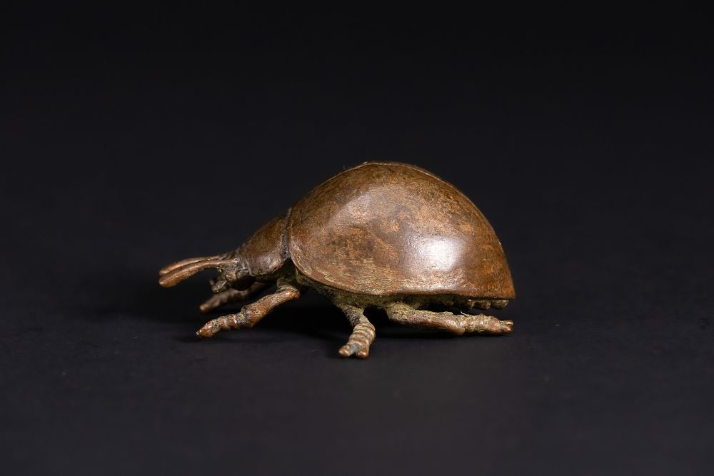 Lot 421: A Japanese Bronze Model of a Beetle.