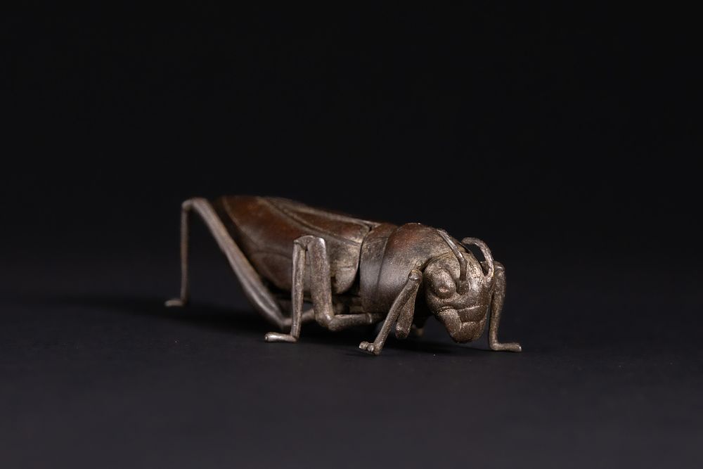 Lot 429: A Japanese Bronze Articulated Model of a Grasshopper.