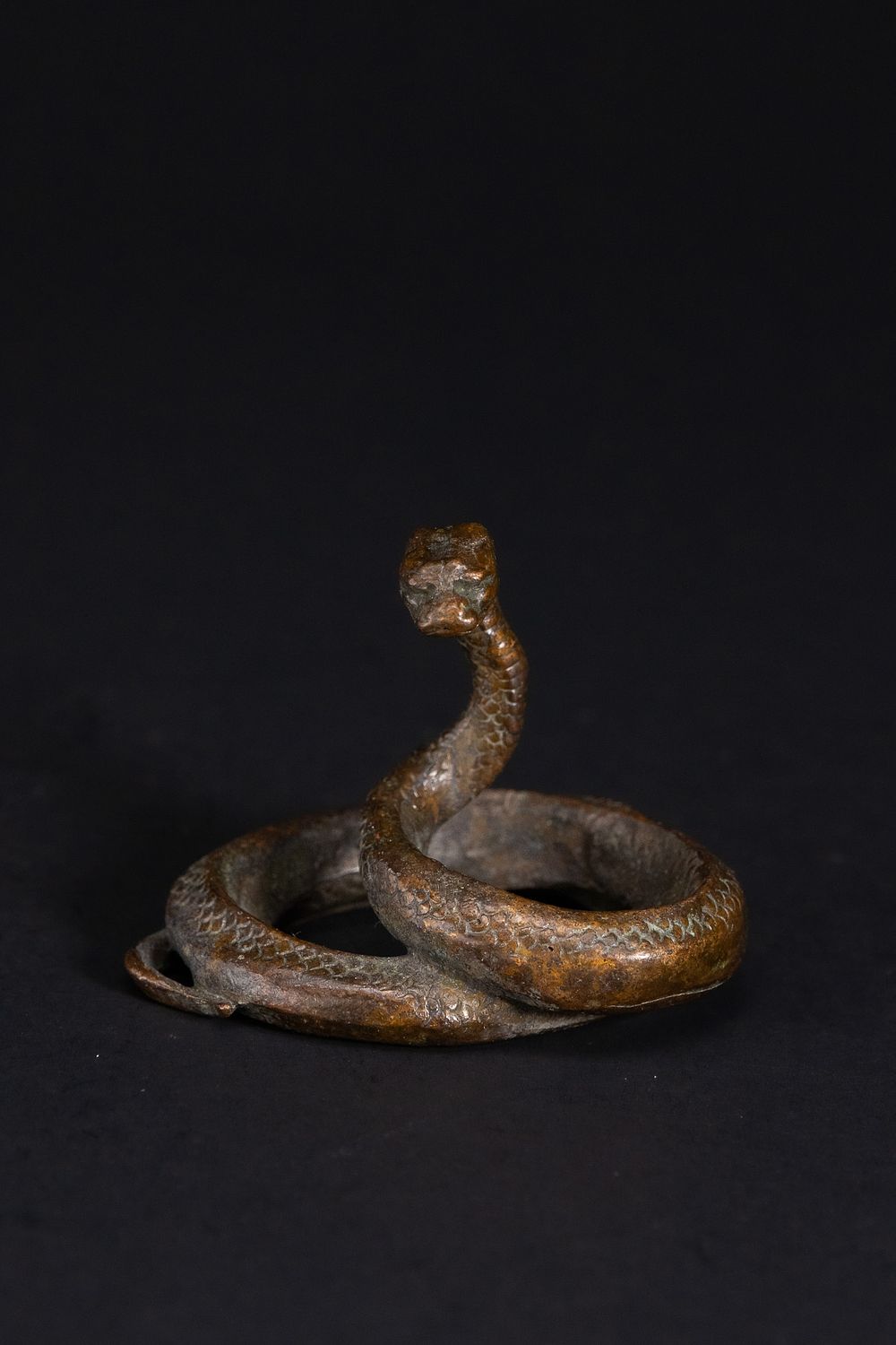 Lot 430: A Japanese Bronze Figure of a Coiled Serpent.