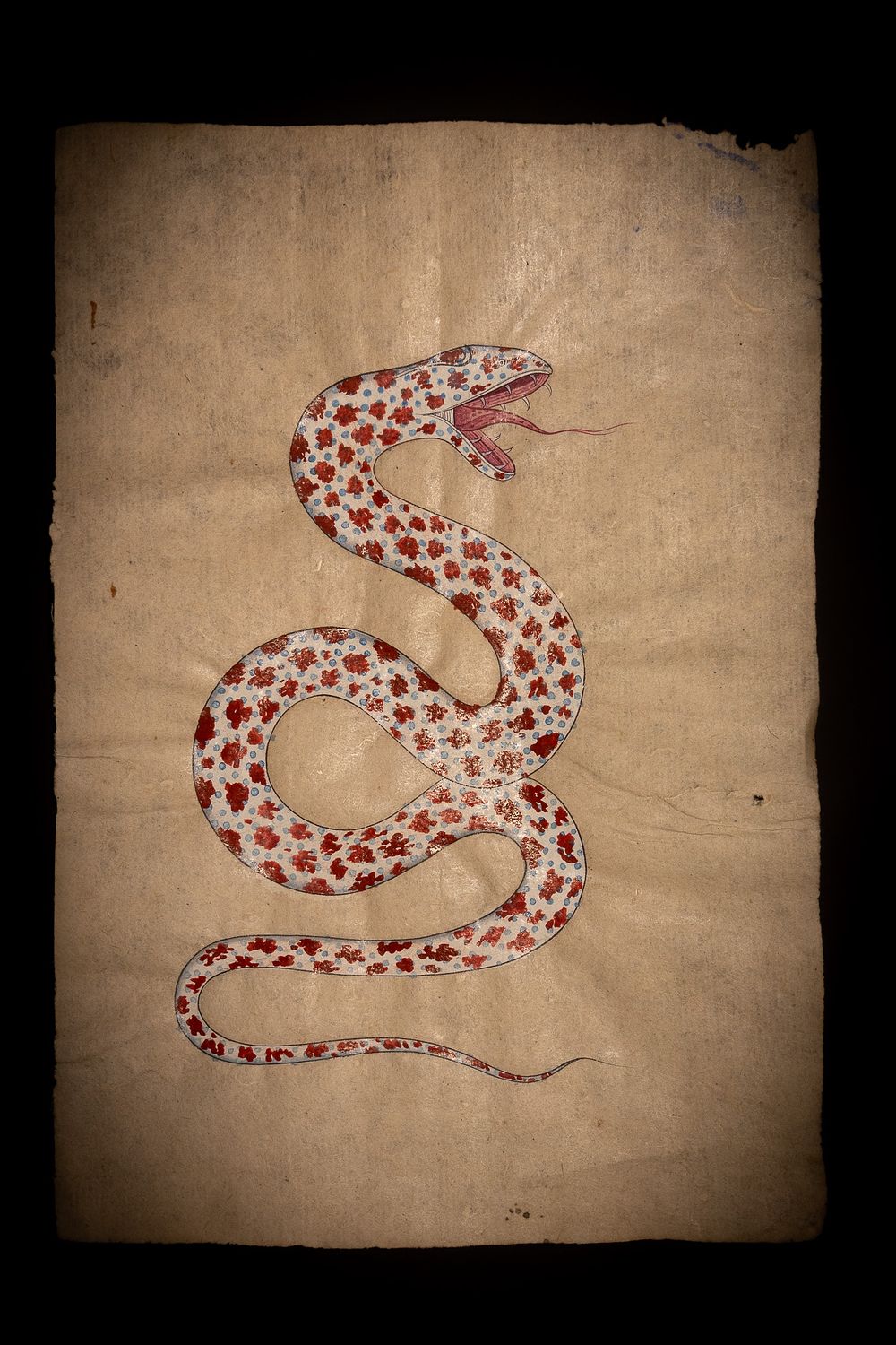 Lot 151: An Indian Tantric Study Of A Serpent With...