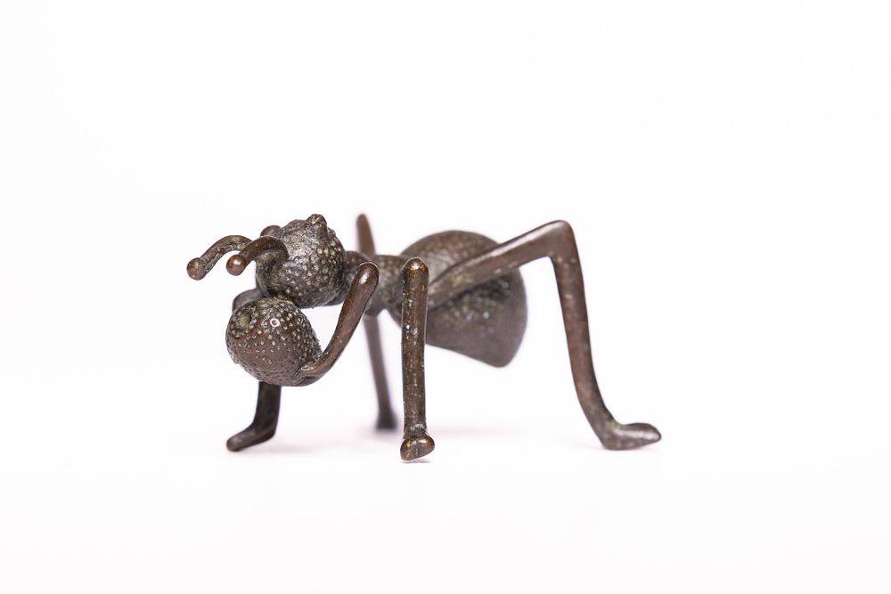 Lot 305: A Japanese Bronze Model of an Ant.