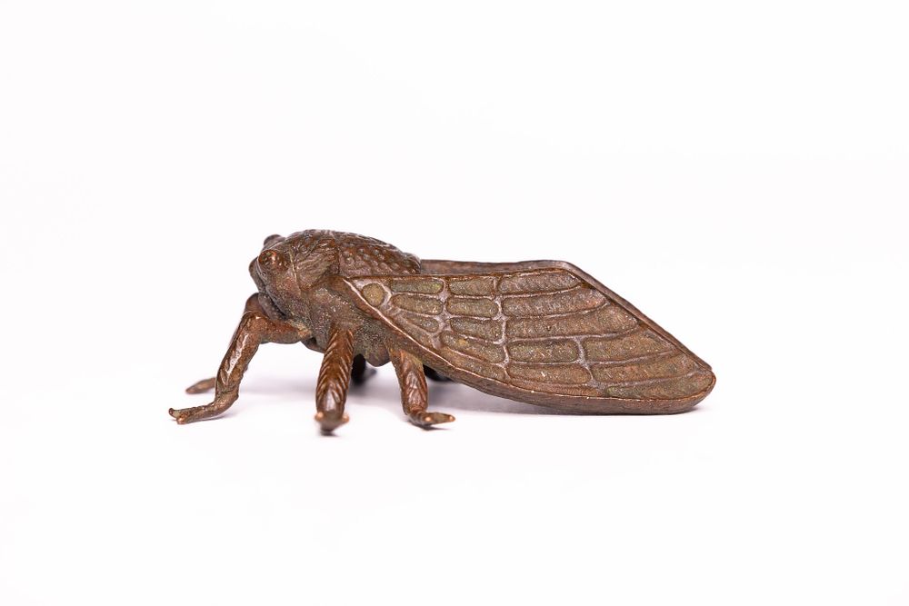 Lot 307: A Japanese Bronze Model of a Cicada.