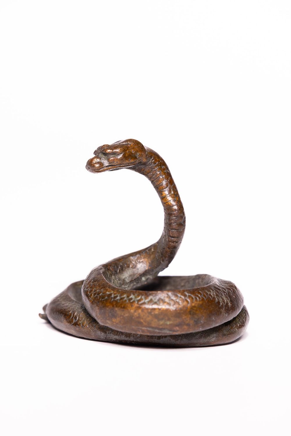 Lot 309: A Japanese Bronze Model of a Coiled Serpent.