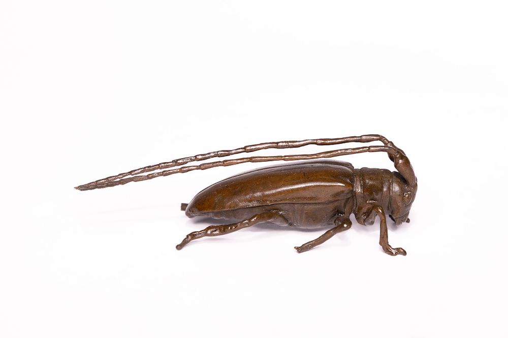 Lot 315: A Japanese Bronze Model of a Longhorn Beetle.