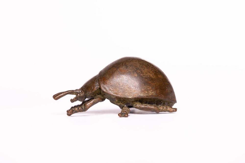Lot 318: A Japanese Bronze Model of a Beetle.