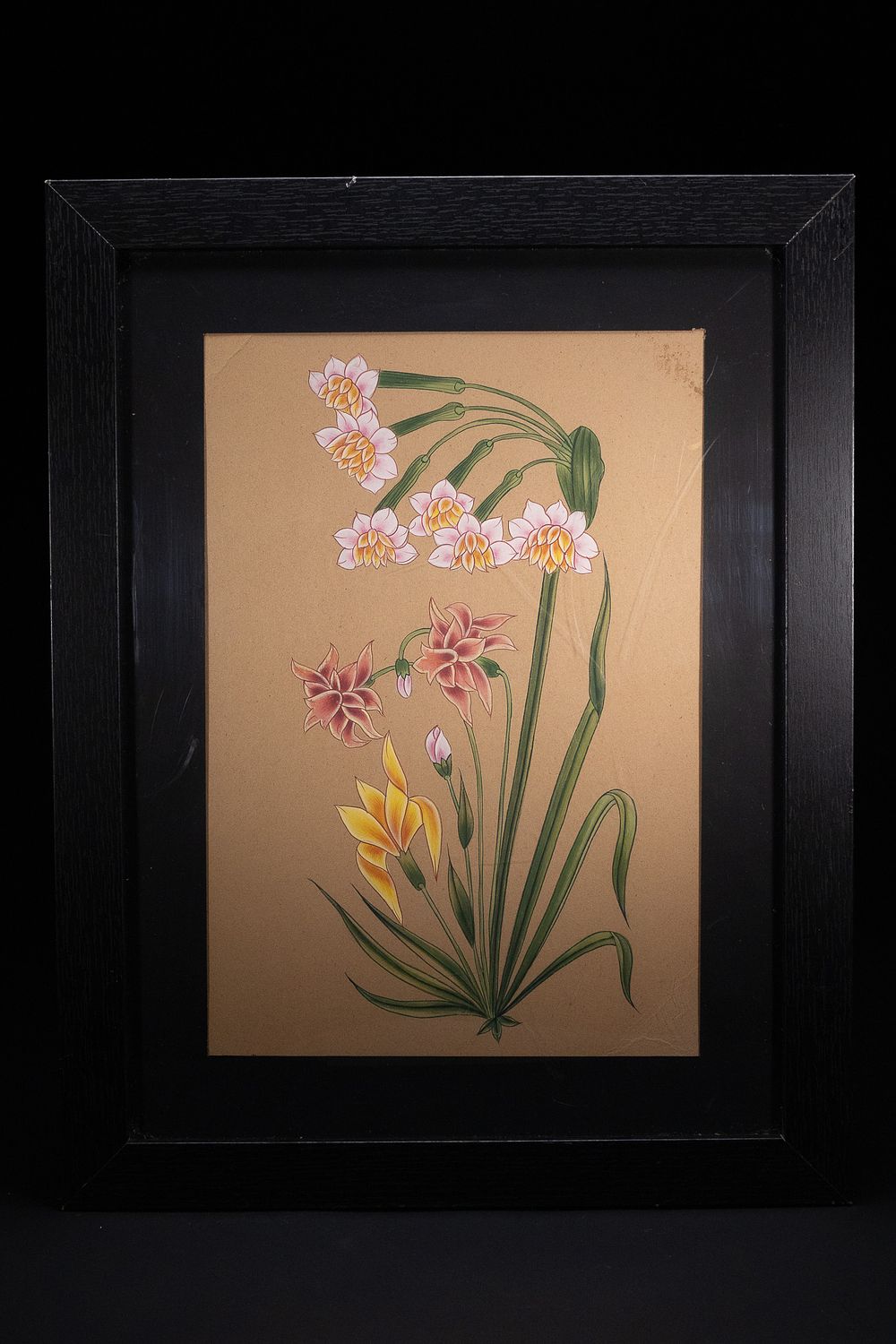 Lot 371: AN INDIAN MINIATURE BOTANICAL STUDY PAINTING IN THE MUGHAL STYLE.