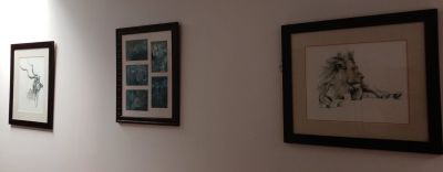 Large Frames with Animal Prints - STC. Framed with glass, this selection is from an estate sale 