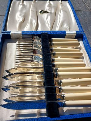 Elegant Vintage Silver Plated Fish Cutlery Set with Imitation Bone Handles in Original Canteen