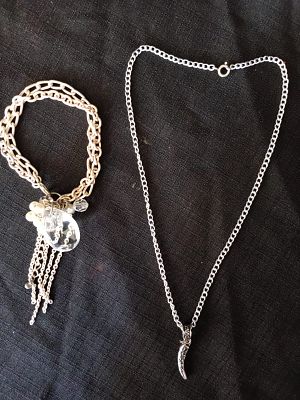 Fashion Jewelry . Stylish fashion accessories featuring a delicate necklace with a chili-shaped 