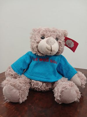 Teddy Bear - By NetFloris. This soft and cuddly teddy bear is AS NEW - and still has the tag. It 