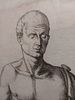 Beautifully Framed Graphic from an Engraving Depicting the Statue of Julius Caesar. Numbered 95 Image - 4