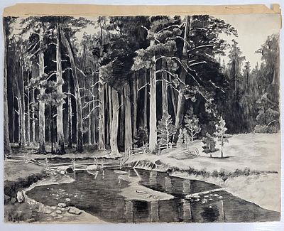 Рисунок старинный Корабельная Роща, А.Соколов, 1903 г , бумага, акварель. Размер: 35 х 28 см. 