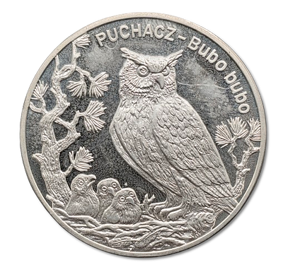 פולין - מטבע כסף 925 פרוף/קשוט - 20 זלוטי 2005 "ינשוף נשר אירו-אסיאתי (Bubo bubo)", משקל: 28.42 