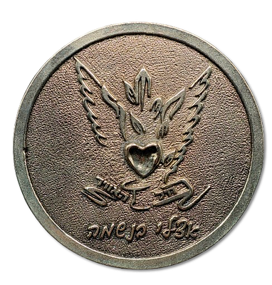 Israel – Military Medal “Israeli Air Force – Squadron 106, Spearhead”, Weight: 81.80 g 
