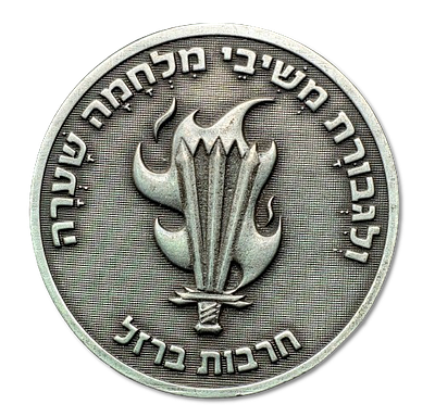 Israel – Military Medal “Brigade 551 / 699 - "Iron Swords”, Weight: 46.86 g, Diameter: 57 mm 
