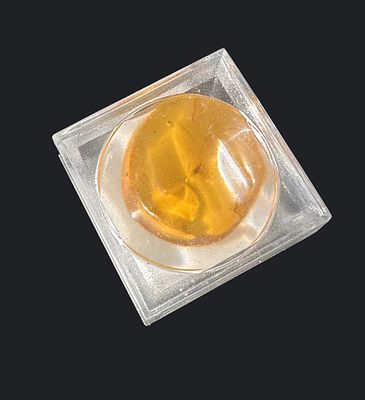 גוש ענבר בלטי טבעי בצבע דבש–זהוב, משמר בתוכו חרק קדום. מוצג בתוך קופסת תצוגה פלסטית הכוללת 