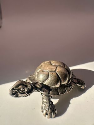 צב כסף (800) 14גר