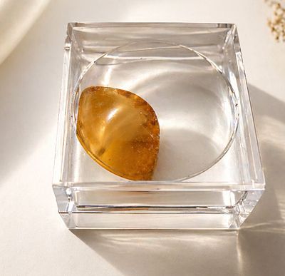 Natural Amber Specimen in Acrylic Display Box with Magnifying Len. פריט מרשים הכולל חתיכת ענבר 