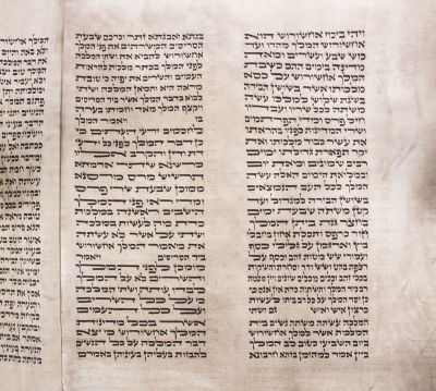 מגילת אסתר על קלף, פולין, המאה ה-19. כתב אשכנז יפה.גובה: 38.5 ס"ממצב: אותיות במצב טוב, ללא 