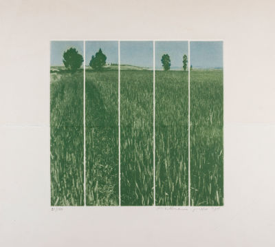 מיכה אולמן, שדה. טכניקה: ליטוגרפיה צבעוניתחתימה: חתום בעברית ובאנגלית (ימין למטה) וממוספר 31/100 