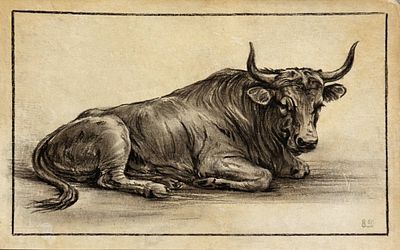 Attributed to Rembrandt van Rijn (1606–1669), 
Study of a Bull. Charcoal on paper 
Signed lower 