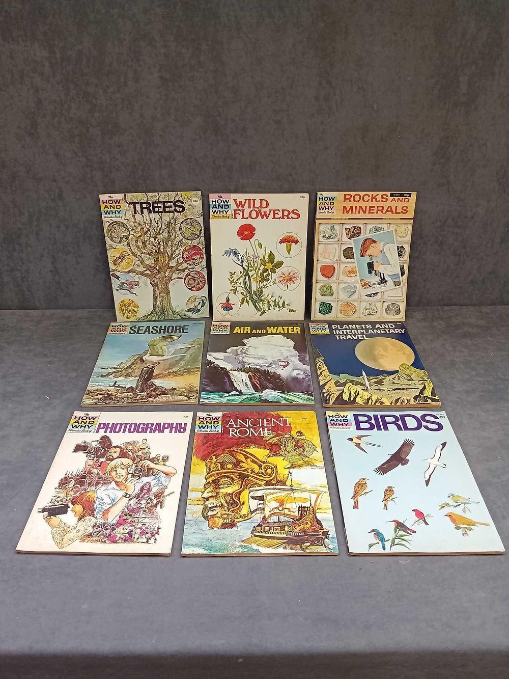 Lot 810: 9 x The How And The Why books...