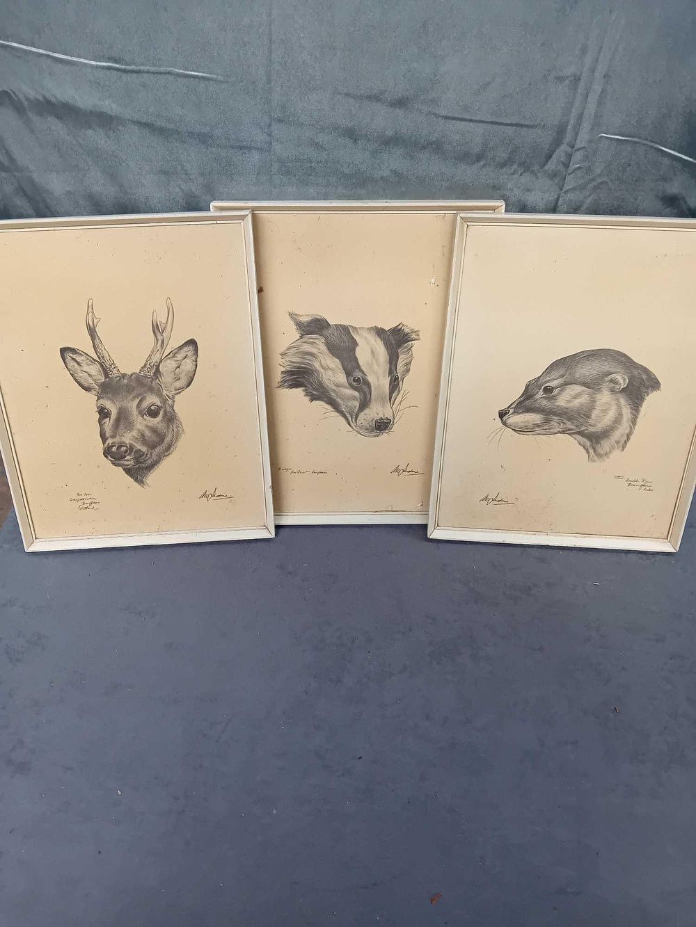 Lot 503: 3 x Framed animal prints 1 Roe Derr...