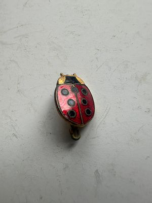 A very rare early brownie ladybird enamel brooch