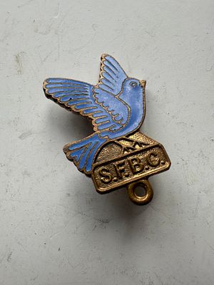 1950s school friends birthday club enamel badge with bluebird