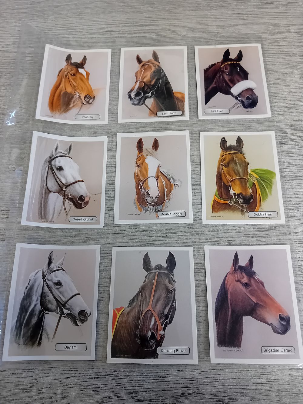 Lot 300: GDS Collectable cards G Shelby Race horses art...
